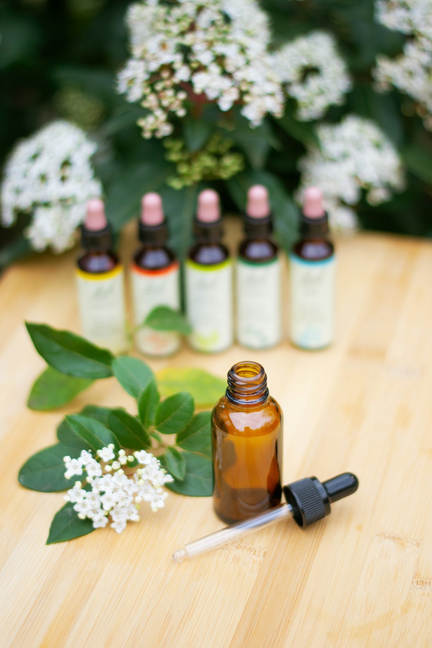 How Homeopathy Complements Modern Wellness Practices
